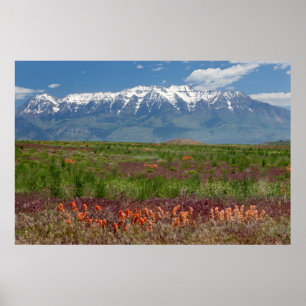 Utah, USA. Mt. Timpanogos Rises Above Poster