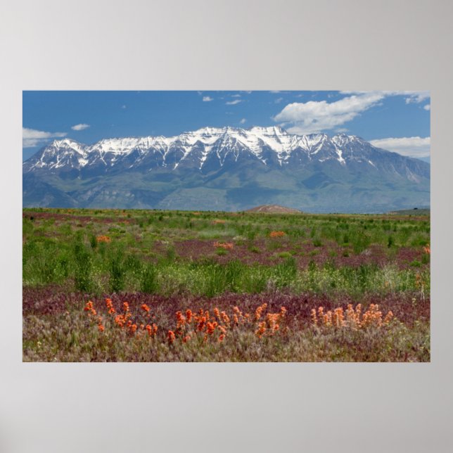 Utah, USA. Mt. Timpanogos Rises Above Poster (Front)
