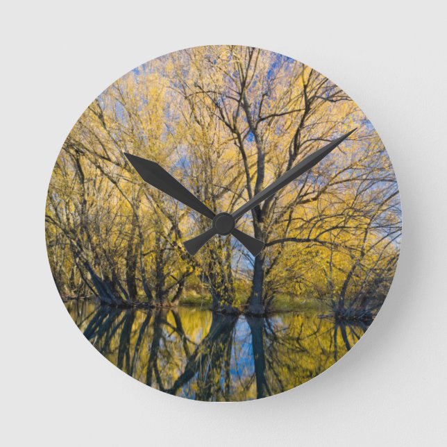 Utah. USA. Peachleaf Willow Trees Round Clock (Front)