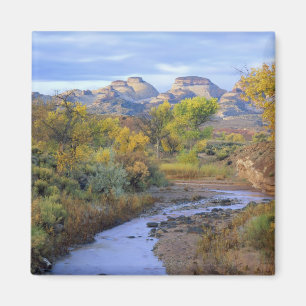 UTAH. USA. Pleasant Creek in autumn at sunrise. Magnet