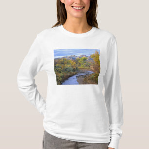 UTAH. USA. Pleasant Creek in autumn at sunrise. T-Shirt