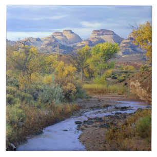 UTAH. USA. Pleasant Creek in autumn at sunrise. Tile