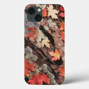 Utah, Zion National Park, Patterns of autumn iPhone 13 Case