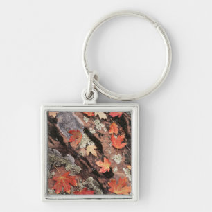 Utah, Zion National Park, Patterns of autumn Key Ring