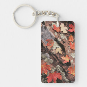 Utah, Zion National Park, Patterns of autumn Key Ring