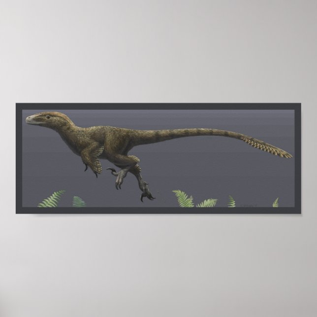 Utahraptor Print (Front)
