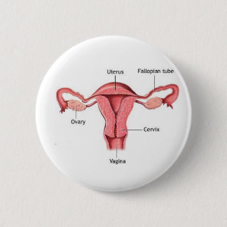 Uterus 6 Cm Round Badge