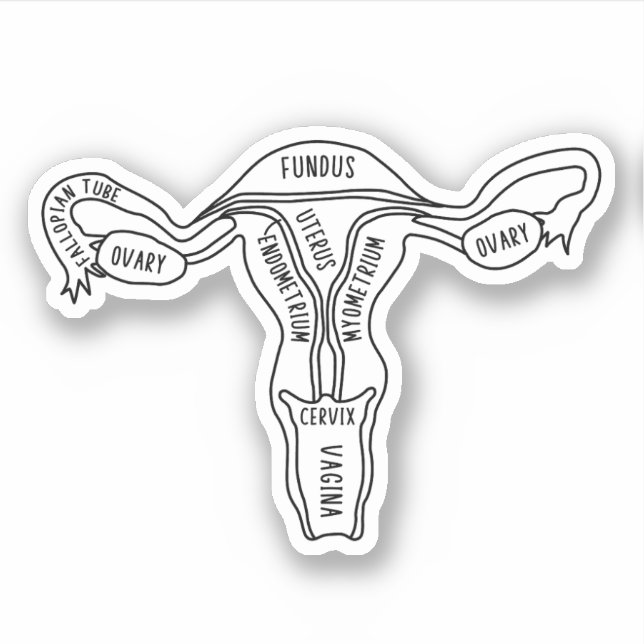 Uterus Anatomy, Feminist, Gynaecologist, Midwife (Front)
