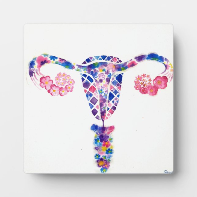 Uterus Plaque (Front)