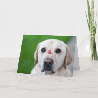 Utmost Patience Holiday Card