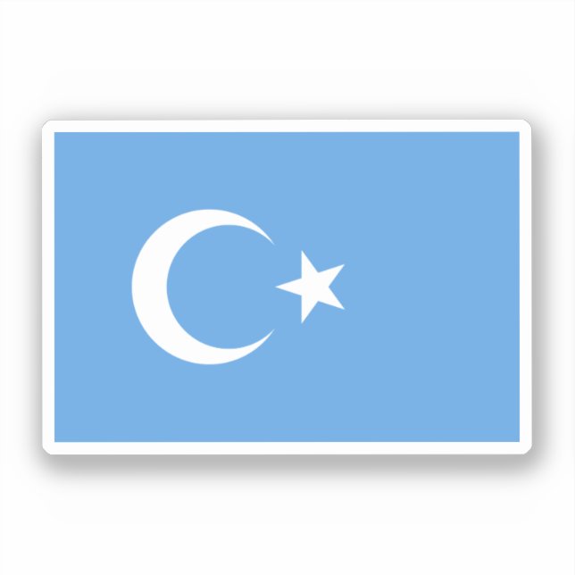 Uyghur/ East Turkestan Flag (Front)