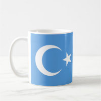 Uyghur/ East Turkestan Flag