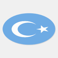 Uyghur/ East Turkestan Flag