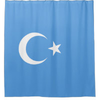 Uyghur Flag of East Turkistan (Uyghuristan)