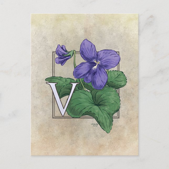 V for Violets Flower Monogram Postcard (Front)
