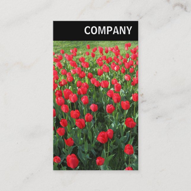 V Header - Bed of Red Tulips 01 Business Card (Front)