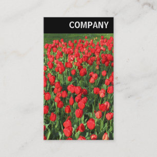 V Header - Bed of Red Tulips 02 Business Card