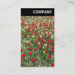 V Header - Bed of Tulips Business Card