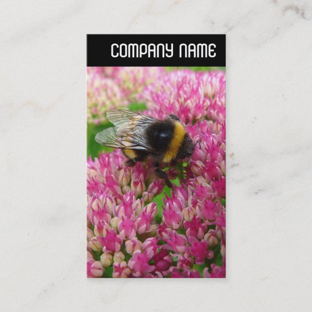 V Header - Bumble Bee Sedum Business Card (Front)
