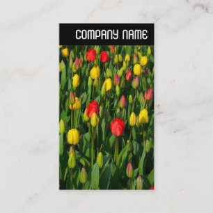 V Header - Colourful Tulips Business Card