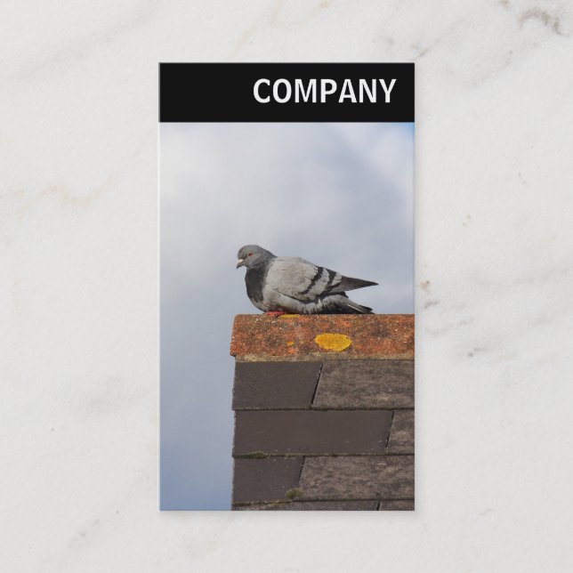 V Header - Good Morning Pigeon Business Card (Front)