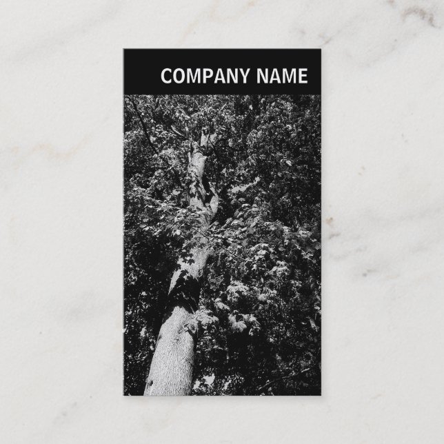 V Header - Image - Plane Tree Business Card (Front)