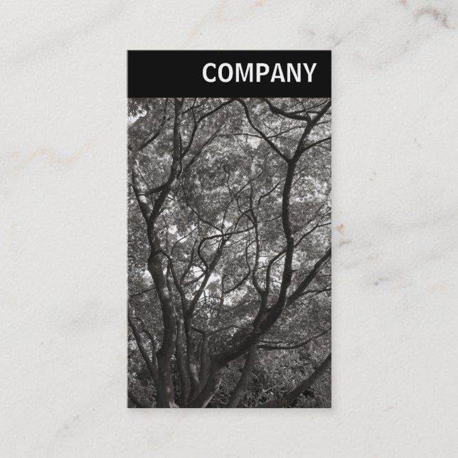 V Header - Japanese Branches 02 Business Card (Front)