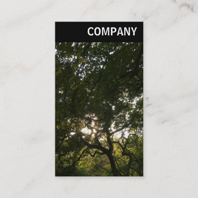 V Header - Japanese Branches 04 Business Card (Front)