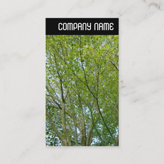 V Header - Japanese Maple Business Card (Front)