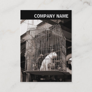 V Header - Photo - Caged Beasts Business Card