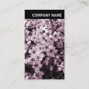 V Header - Photo - Cherry Blossom Business Card