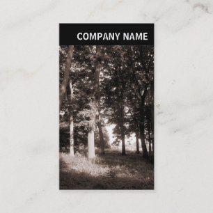 V Header - Photo - Park Landscape Business Card