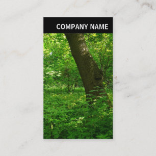 V Header - Photo - Spring in the Woods Business Card