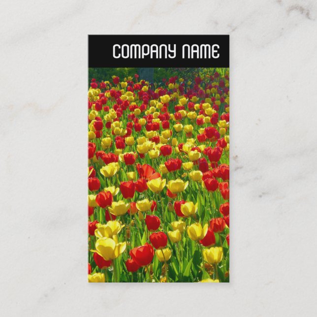 V Header - Sea of Tulips Business Card (Front)