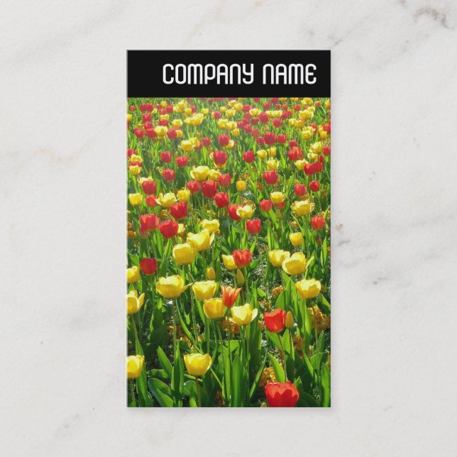V Header - Sea of Tulips II Business Card (Front)