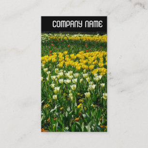 V Header - Spring Flowers Business Card