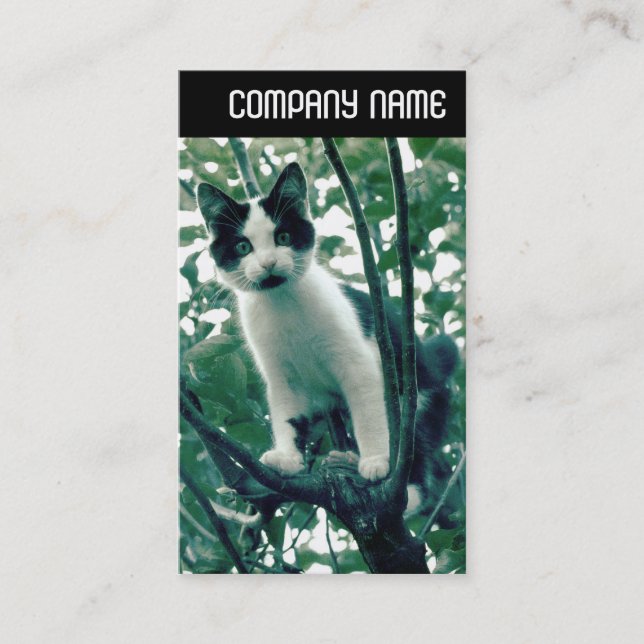 V Header - Superfluity of Naughtiness Business Card (Front)