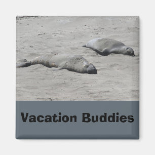 Vacation Buddies Magnet