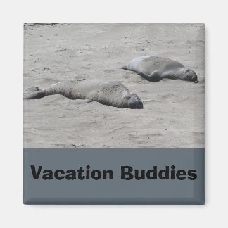 Vacation Buddies Magnet