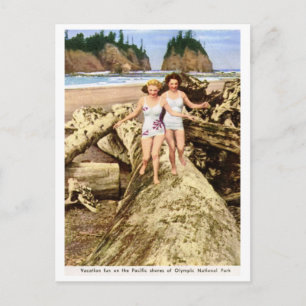 Vacation Fun, Olympic National Park, Vintage Postcard