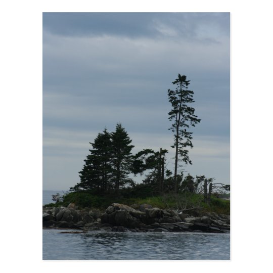 Vacation Postcard