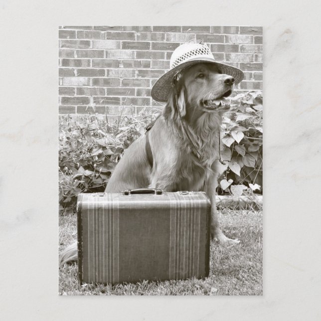 Vacation Postcard (Front)