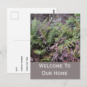 Vacation Rental Guest Welcome Cabin Ferns Postcard