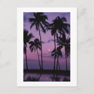 Vacation Time! Postcard