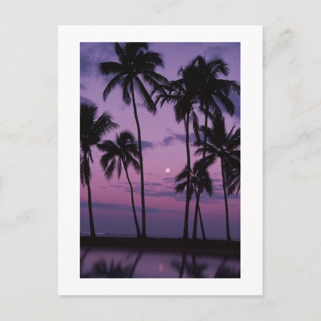 Vacation Time! Postcard (Front)