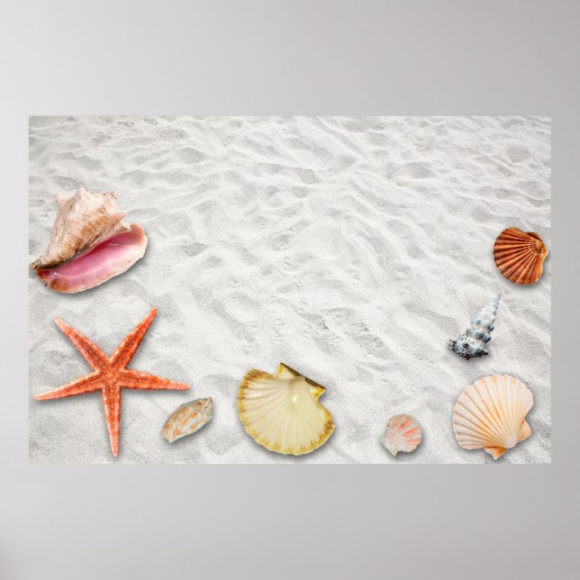 Vacations beach summer sun poster (Front)