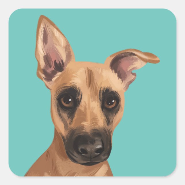 Vaden Jones Stickers (Front)