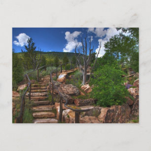 Vail Botanical Gardens Postcard