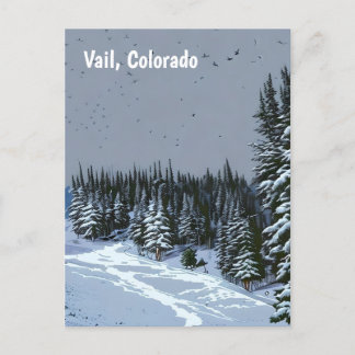 Vail, Colorado Postcard