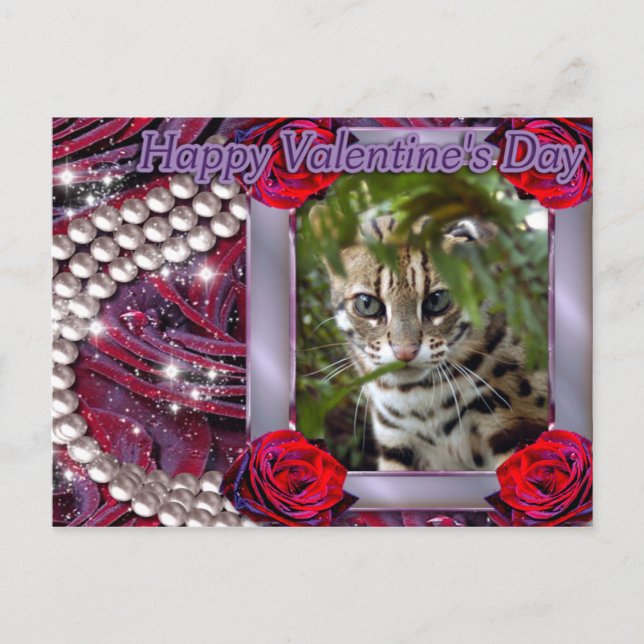 val-bengal-cat-00073-6x4 holiday postcard (Front)